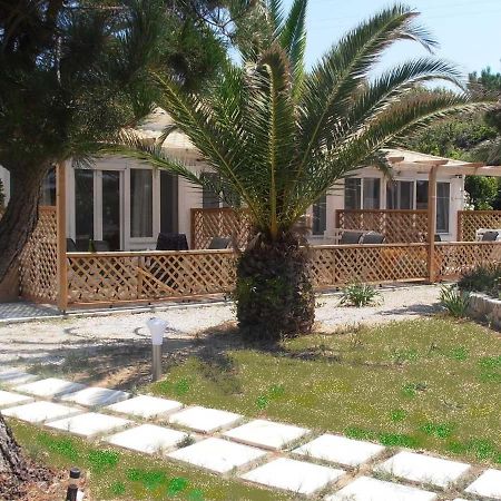 Elli Beach Apartments And Studios Almiros Beach Exterior foto