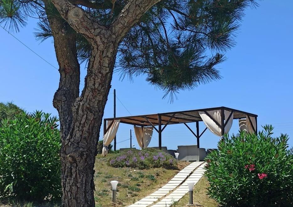 Elli Beach Apartments And Studios Almiros Beach Exterior foto