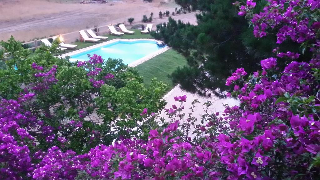 Elli Beach Apartments And Studios Almiros Beach Cameră foto